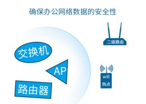 155 网络与信息安全软件开发概述
